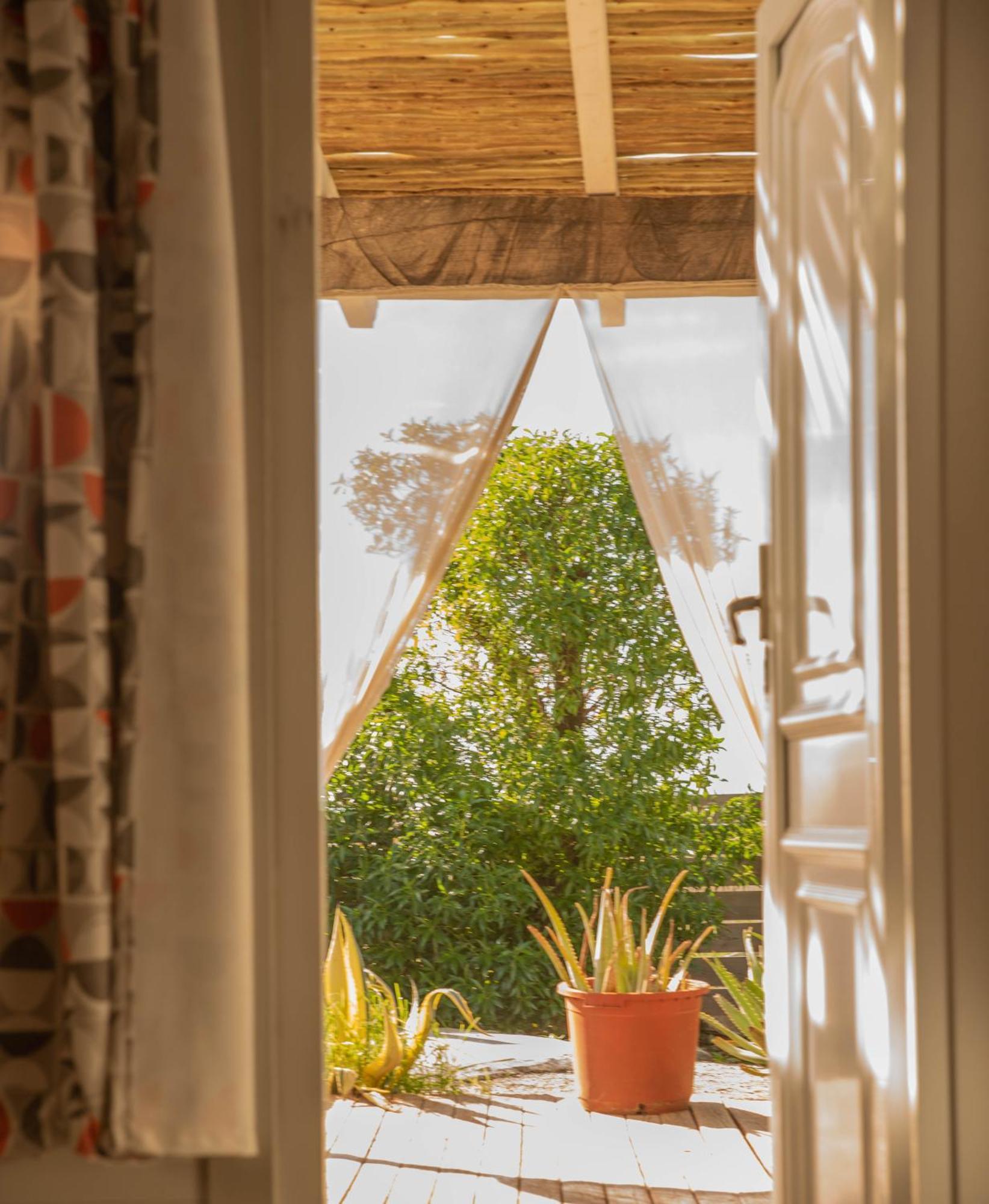 La Cabana A Orillas Del Palmar 카디스 외부 사진